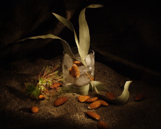 PhotoArt: псевдо рисунок