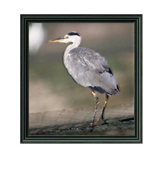 PhotoArt: а-ля рисунок