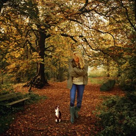 PhotoArt: прогулка